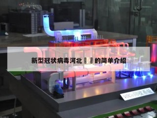 新型冠状病毒河北㊙️的简单介绍