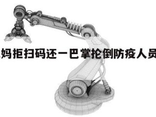 包含大妈拒扫码还一巴掌抡倒防疫人员㊙️的词条