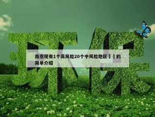 南京现有1个高风险20个中风险地区㊙️的简单介绍