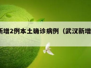 武汉新增2例本土确诊病例（武汉新增本土3例）